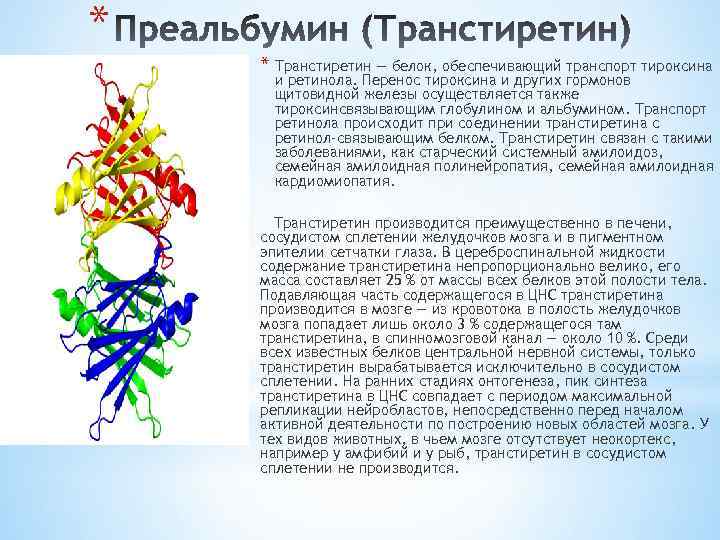 * * Транстиретин — белок, обеспечивающий транспорт тироксина и ретинола. Перенос тироксина и других
