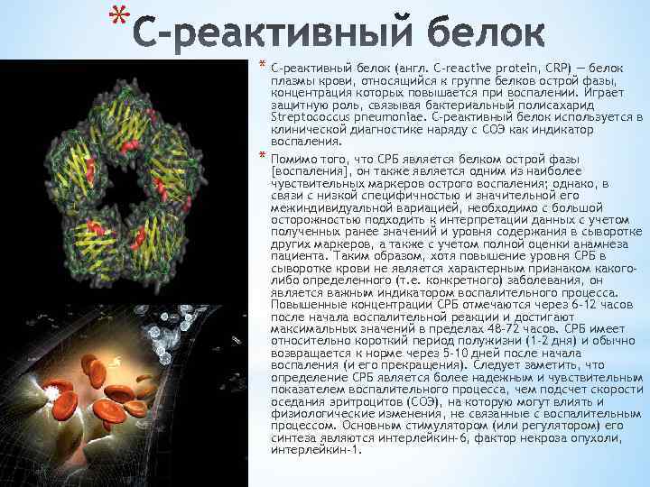 * * C-реактивный белок (англ. C-reactive protein, CRP) — белок * плазмы крови, относящийся