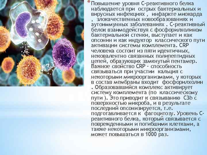 * Повышение уровня С-реактивного белка наблюдается при острых бактериальных и вирусных инфекциях , инфаркте