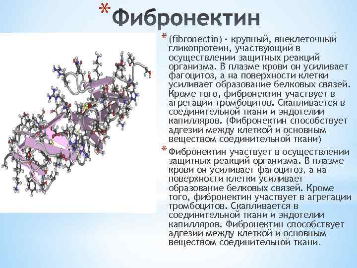 * * (fibronectin) - крупный, внеклеточный гликопротеин, участвующий в осуществлении защитных реакций организма. В