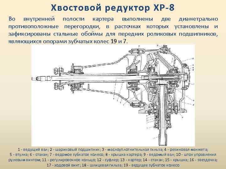 Хвостовой редуктор ХР-8 Во внутренней полости картера выполнены две диаметрально противоположные перегородки, в расточках