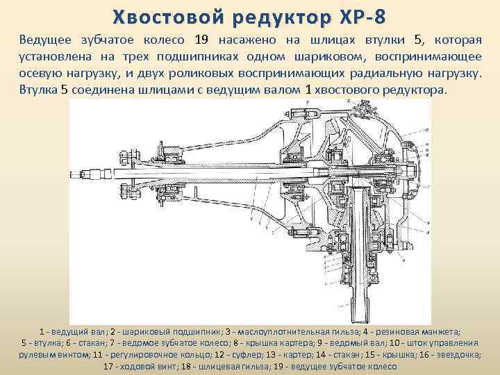 Хвостовой редуктор ХР-8 Ведущее зубчатое колесо 19 насажено на шлицах втулки 5, которая установлена