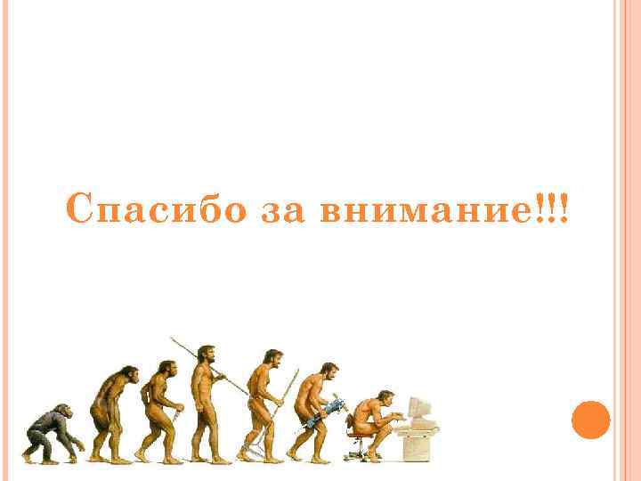 Спасибо за внимание!!! 