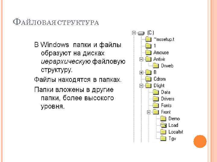 Ф АЙЛОВАЯ СТРУКТУРА 