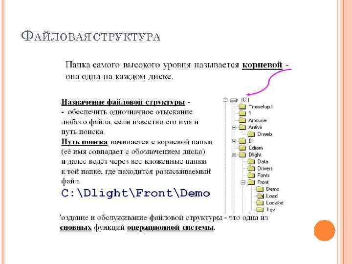 Ф АЙЛОВАЯ СТРУКТУРА 