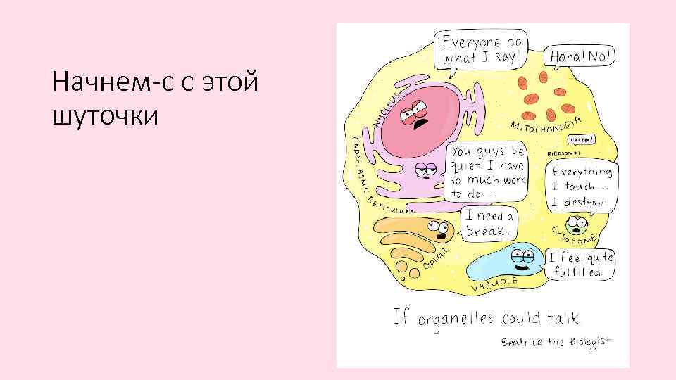 Начнем-с с этой шуточки 