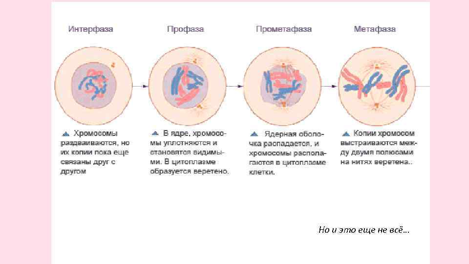 Но и это еще не всё… 