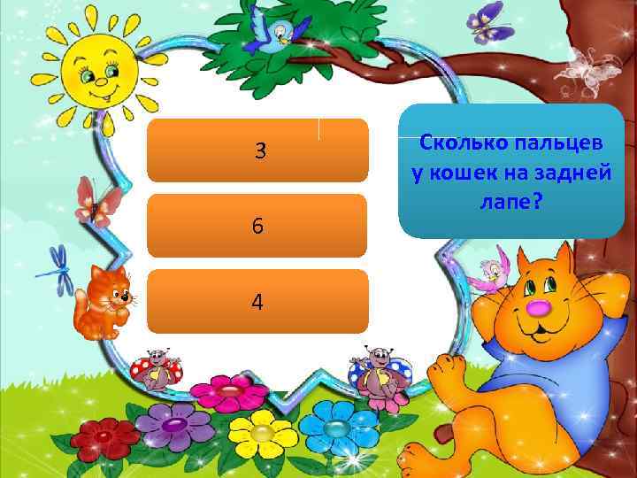 3 6 4 Сколько пальцев у кошек на задней лапе? 