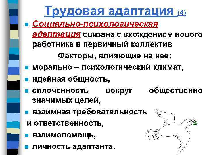 Трудовая адаптация (4) n Социально-психологическая адаптация связана с вхождением нового работника в первичный коллектив