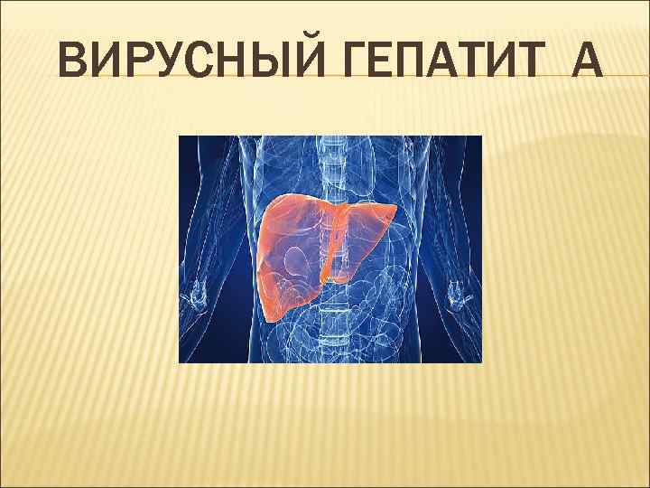 ВИРУСНЫЙ ГЕПАТИТ А 