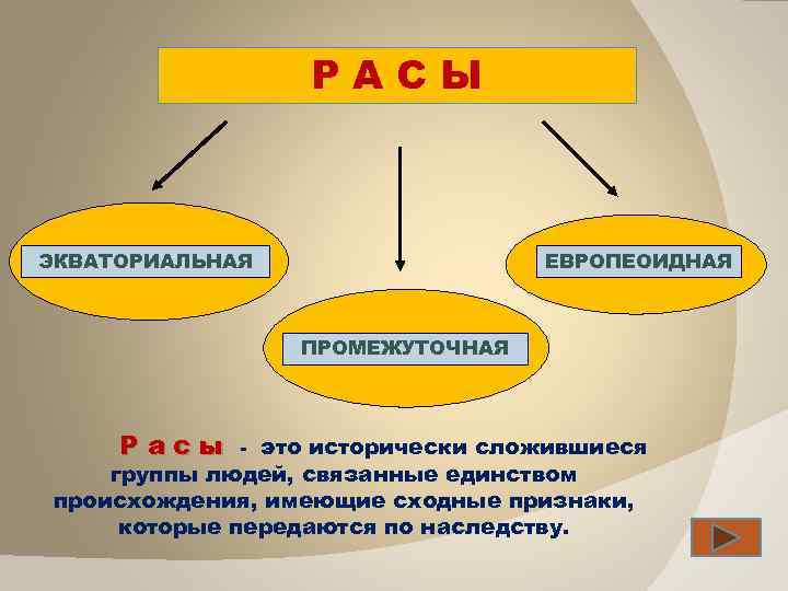 РАСЫ ЭКВАТОРИАЛЬНАЯ ЕВРОПЕОИДНАЯ ПРОМЕЖУТОЧНАЯ Расы - это исторически сложившиеся группы людей, связанные единством происхождения,