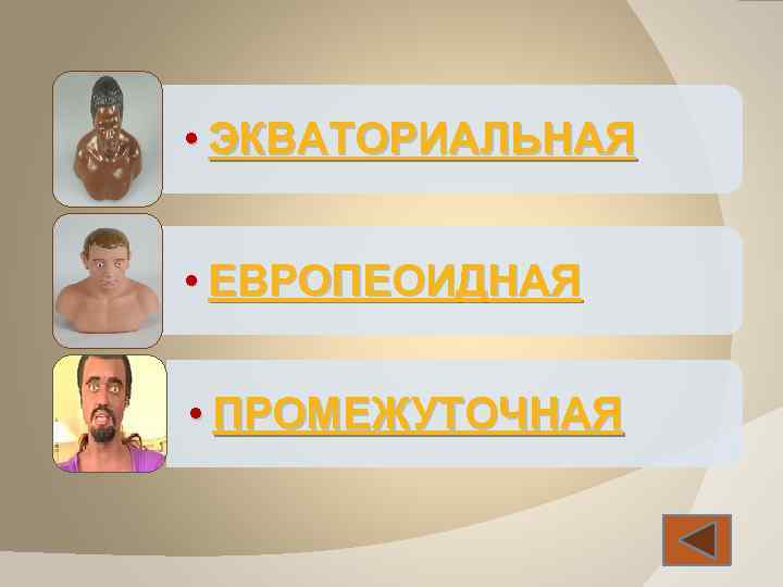  • ЭКВАТОРИАЛЬНАЯ • ЕВРОПЕОИДНАЯ • ПРОМЕЖУТОЧНАЯ 