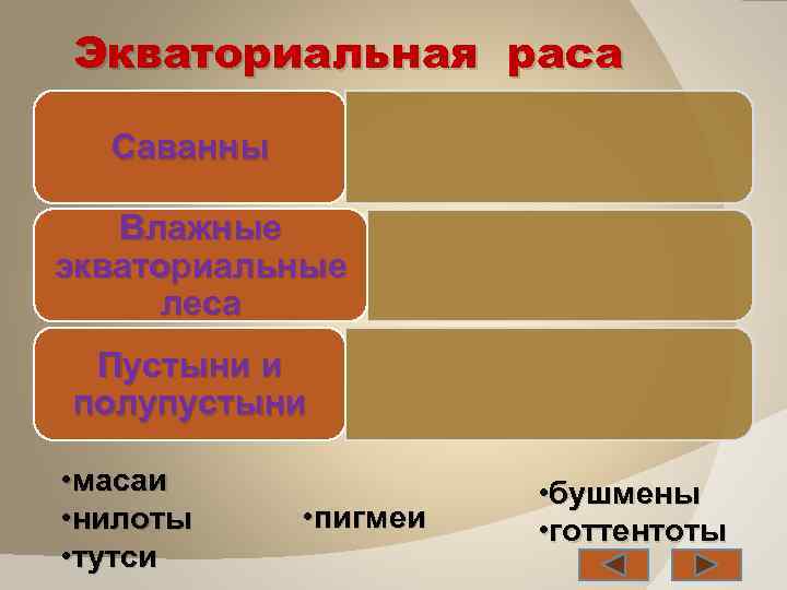 Экваториальная раса Саванны Влажные экваториальные леса Пустыни и полупустыни • масаи • нилоты •