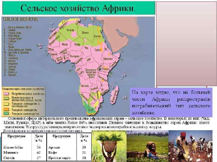 Карта африка население и хозяйство