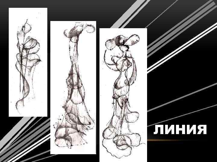 ЛИНИЯ 