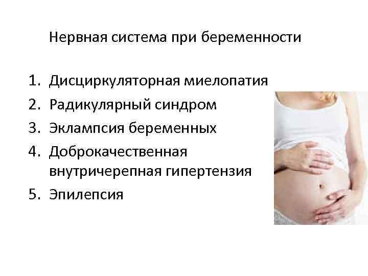 Нервная система при беременности 1. 2. 3. 4. Дисциркуляторная миелопатия Радикулярный синдром Эклампсия беременных