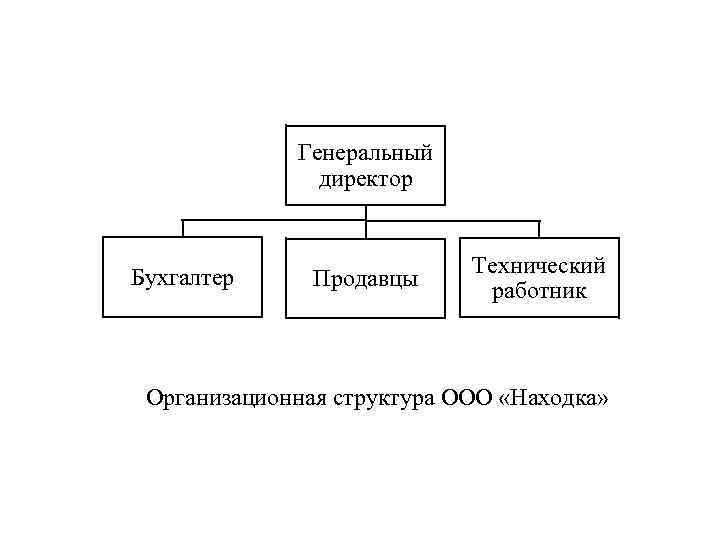 Генеральный директор Бухгалтер Продавцы Технический работник Организационная структура ООО «Находка» 