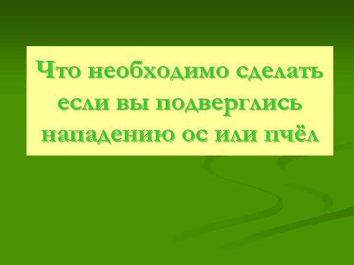 Что необходимо сделать если вы подверглись нападению ос или пчёл 