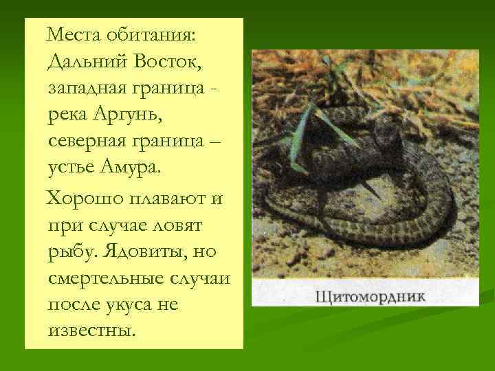 Места обитания: Дальний Восток, западная граница река Аргунь, северная граница – устье Амура. Хорошо