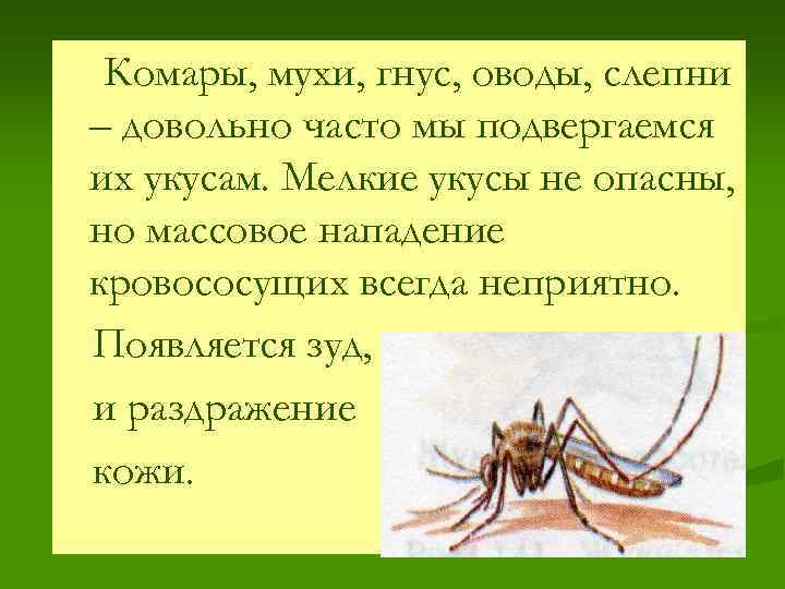 Комары, мухи, гнус, оводы, слепни – довольно часто мы подвергаемся их укусам. Мелкие укусы