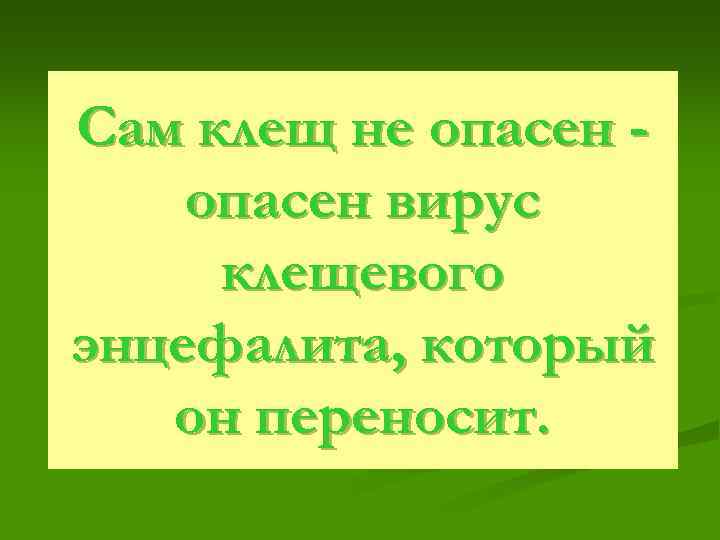 Сам клещ не опасен вирус клещевого энцефалита, который он переносит. 