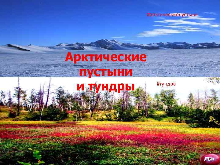 #арктическиепустыня Тундры и арктические пустыни Арктические Тундра Арктическая пустыни и тундры #тундра Тундра 