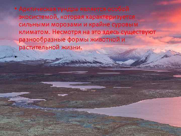  • Арктическая тундра является особой экосистемой, которая характеризуется сильными морозами и крайне суровым