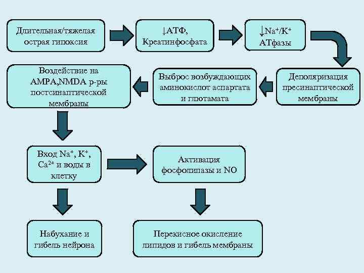 Длительная/тяжелая острая гипоксия Воздействие на AMPA, NMDA р-ры постсинаптической мембраны ↓АТФ, Креатинфосфата Выброс возбуждающих