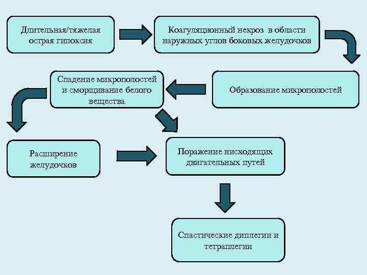 Длительная/тяжелая острая гипоксия Спадение микрополостей и сморщивание белого вещества Расширение желудочков Коагуляционный некроз в