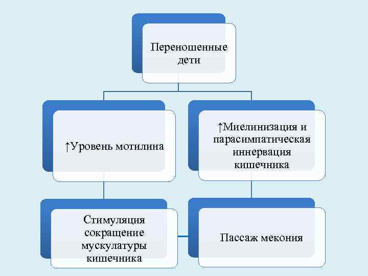Переношенные дети ↑Уровень мотилина ↑Миелинизация и парасимпатическая иннервация кишечника Стимуляция сокращение мускулатуры кишечника Пассаж