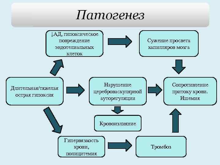патогенез асфиксии новорожденных