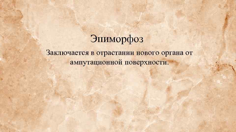 Эпиморфоз Заключается в отрастании нового органа от ампутационной поверхности. 