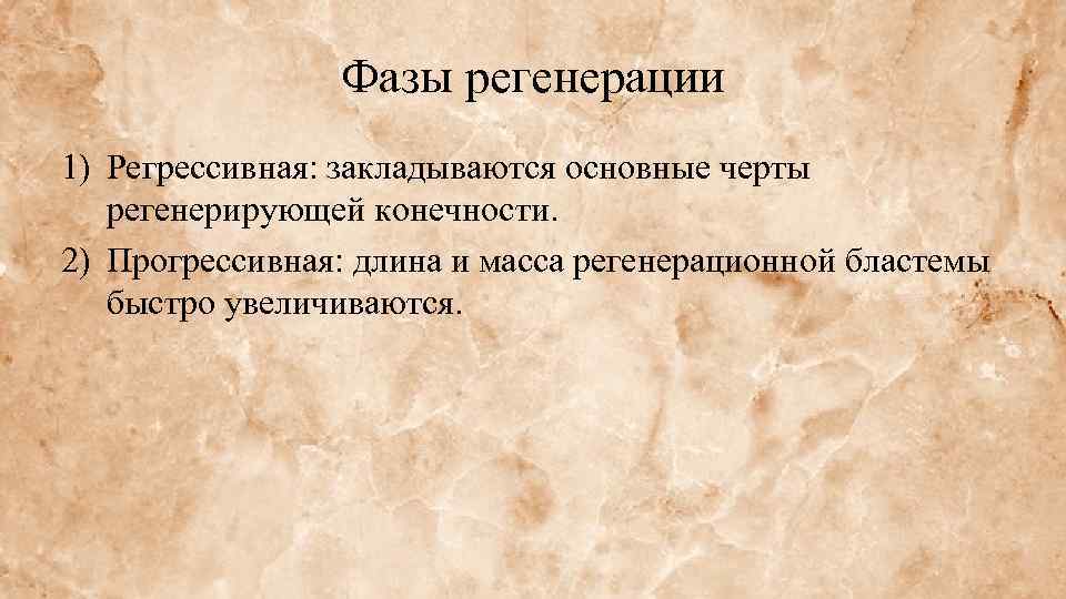 Фазы регенерации 1) Регрессивная: закладываются основные черты регенерирующей конечности. 2) Прогрессивная: длина и масса