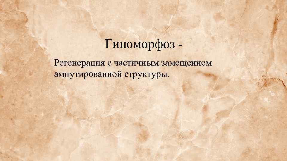 Гипоморфоз Регенерация с частичным замещением ампутированной структуры. 