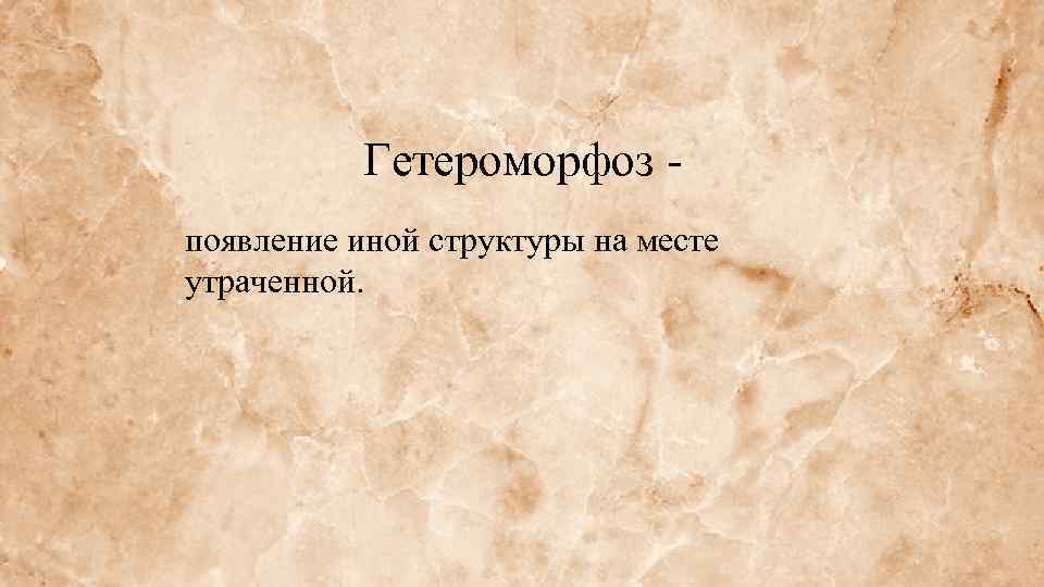 Гетероморфоз появление иной структуры на месте утраченной. 