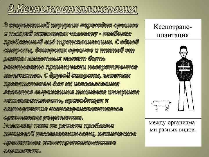 3. Ксенотрансплантация В современной хирургии пересадка органов и тканей животных человеку - наиболее проблемный