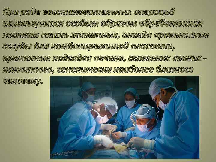 При ряде восстановительных операций используются особым образом обработанная костная ткань животных, иногда кровеносные сосуды