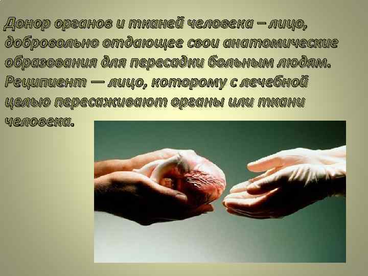 Донор органов и тканей человека – лицо, добровольно отдающее свои анатомические образования для пересадки