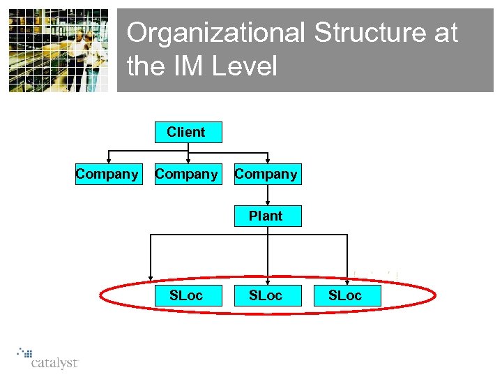Organizational Structure at the IM Level SAP Organizational Structure Client Company Plant SLoc 