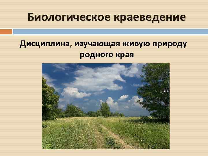 Биологическое краеведение Дисциплина, изучающая живую природу родного края 