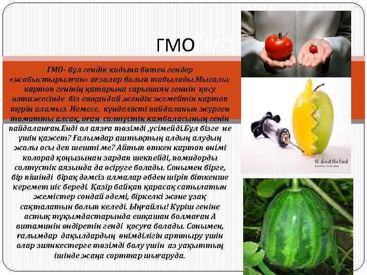 ГМОГМО ГМО- бұл гендік кодына бөтен гендер «жабыстырылған» ағзалар болып табылады. Мысалы: картоп генінің