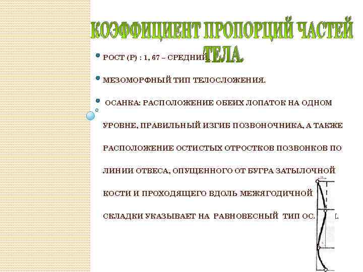 РОСТ (Р) : 1, 67 – СРЕДНИЙ. МЕЗОМОРФНЫЙ ТИП ТЕЛОСЛОЖЕНИЯ. ОСАНКА: РАСПОЛОЖЕНИЕ ОБЕИХ ЛОПАТОК