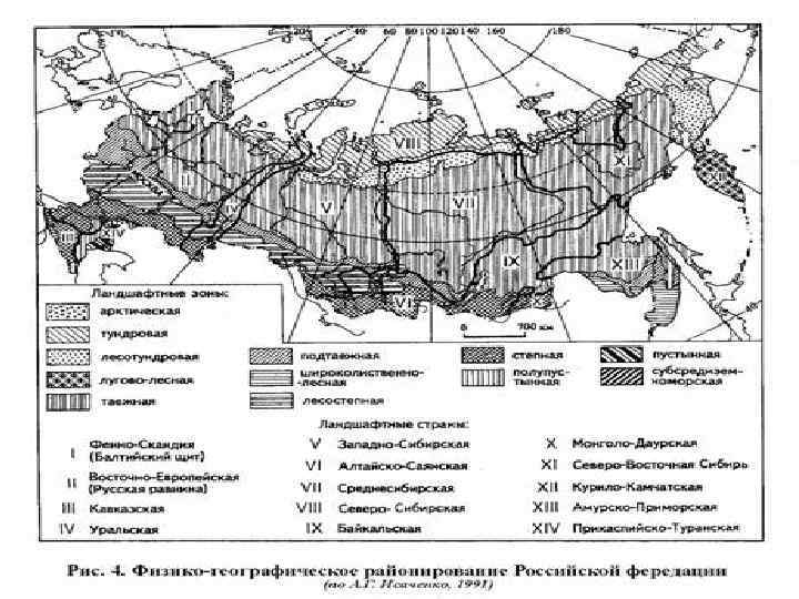 Российская академия народного хозяйства и государственной службы при Президенте РФ (РАНХи. ГС) АЗОНАЛЬНЫЕ ФАКТОРЫ