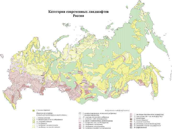 Российская академия народного хозяйства и государственной службы при Президенте РФ (РАНХи. ГС) РАСТИТЕЛЬНОСТЬ ЗЕМЛИ