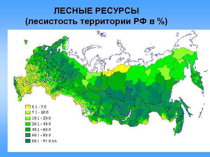 ЛЕСНЫЕ РЕСУРСЫ (лесистость территории РФ в %) 