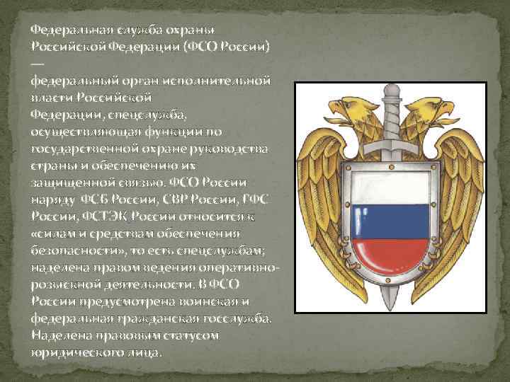 Органы охраны государственной власти. Федеральная служба охраны Российской Федерации (ФСО России). ФСО России деятельность. Органы ФСО. Органы Федеральной службы охраны.