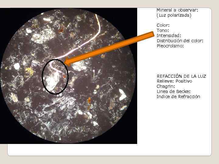 Mineral a observar: (Luz polarizada) Color: Tono: Intensidad: Distribución del color: Pleocroísmo: REFACCIÓN DE