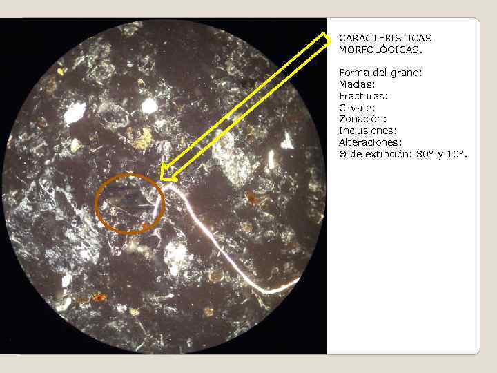 CARACTERISTICAS MORFOLÓGICAS. Forma del grano: Maclas: Fracturas: Clivaje: Zonación: Inclusiones: Alteraciones: Θ de extinción: