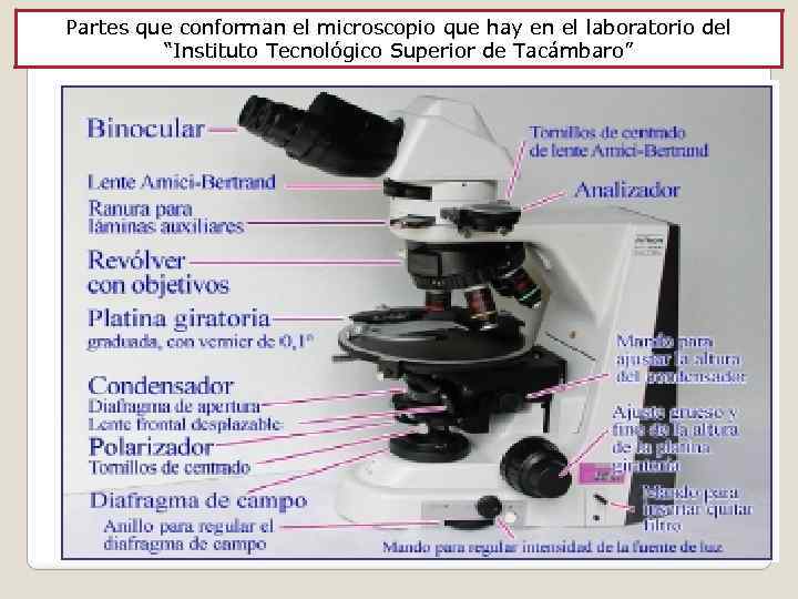 Partes que conforman el microscopio que hay en el laboratorio del “Instituto Tecnológico Superior