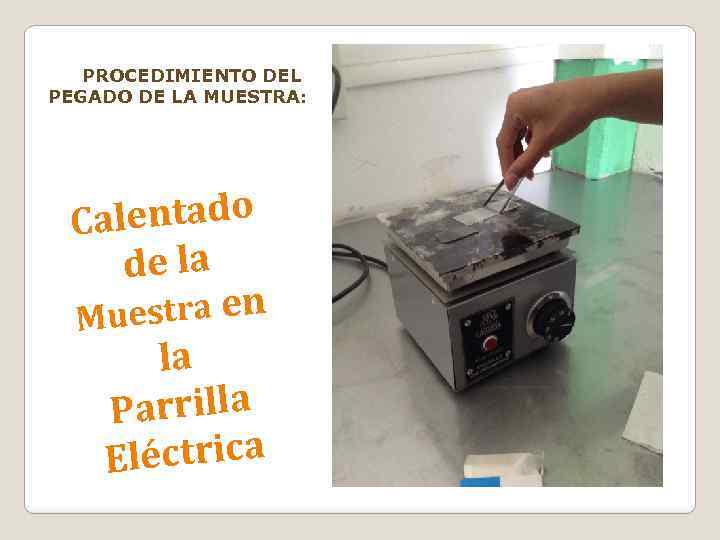 PROCEDIMIENTO DEL PEGADO DE LA MUESTRA: lentado Ca de la uestra en M la